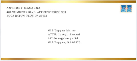 100 Pcs 4 1/8 x 9 1/2 Envelope with Gold Foil and Embossed.